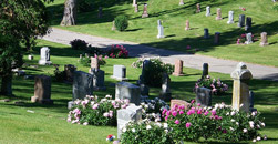 Alexandria Cemetery CO